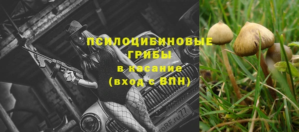 apvp Семикаракорск