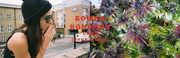 гашиш Богданович