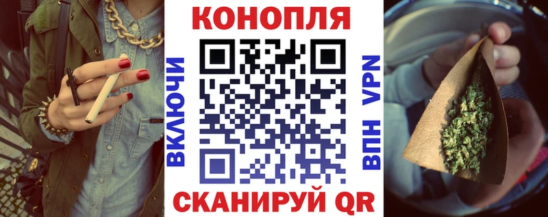 что такое наркотик  Зеленогорск  Канабис сатива 